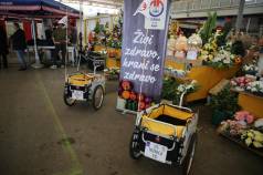 Mini IMG 8515